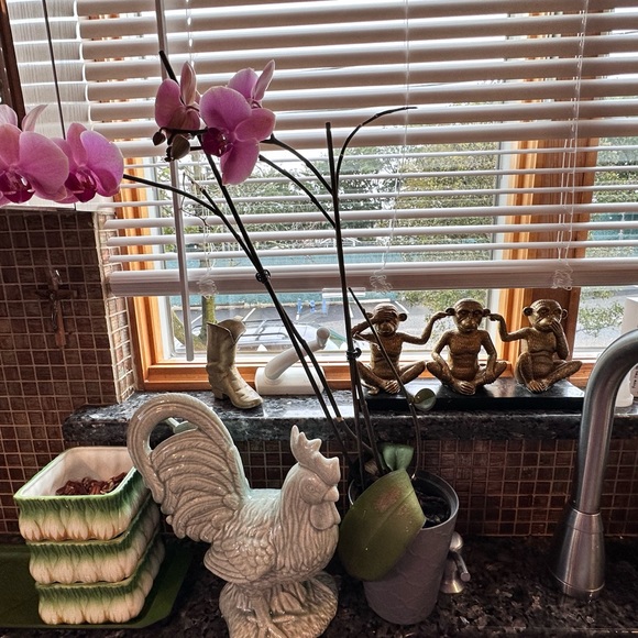 Item live show for fun - Picture 5 of 6